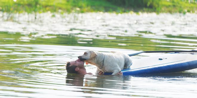 Man and dog swimming